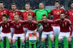 爱游戏活动-匈牙利队力克冰岛队，成功晋级欧洲锦标赛强的简单介绍