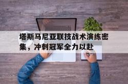 爱游戏中国官网-塔斯马尼亚联技战术演练密集，冲刺冠军全力以赴的简单介绍