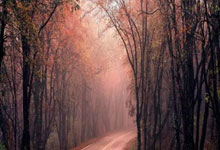 爱游戏app下载地址-包含沸腾！球迷聚集为偶像加油打Call！的词条