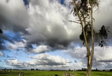 爱游戏网站-拜仁慕尼黑客场横扫多特蒙德 实现主场连胜，拜仁慕尼黑vs多特蒙德全场录像回放