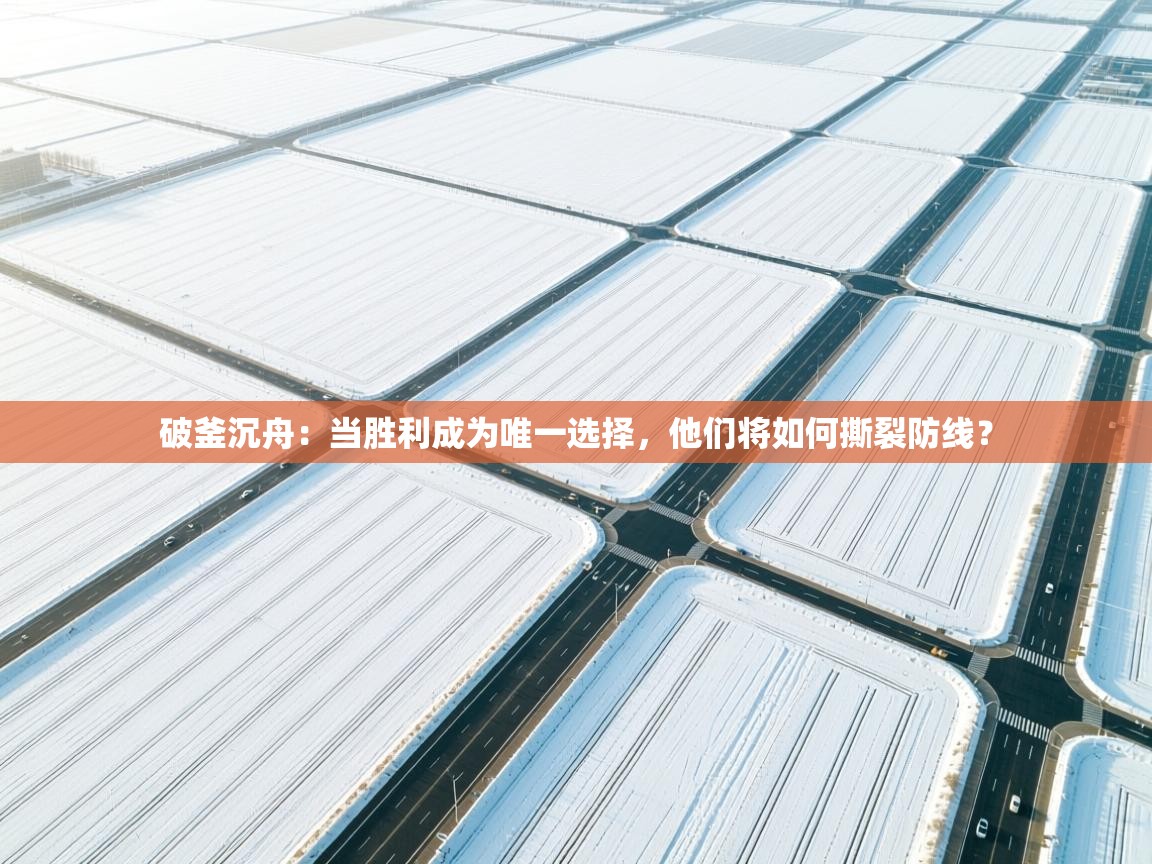 破釜沉舟:当胜利成为唯一选择,他们将如何撕裂防线? 第2张